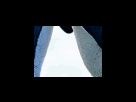 https://image.noelshack.com/fichiers/2012/25/1340278750-f0d4f013bb9050a81a432a9d808c5b4d.png