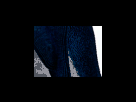 https://image.noelshack.com/fichiers/2012/25/1340278751-6c29dbdf860605568430e34674a0b193.png
