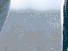 https://image.noelshack.com/fichiers/2012/25/1340278752-85fc53732a3618b89227d3631b8b753c.png