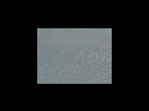 https://image.noelshack.com/fichiers/2012/25/1340278753-6fcde72406b0f766d947652bec2cf2e9.png