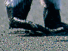 https://image.noelshack.com/fichiers/2012/25/1340278753-8d84b1807396b897b5c334d9c0726394.png