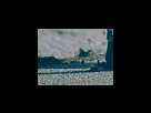 https://image.noelshack.com/fichiers/2012/25/1340278754-d778530e7b1103123bab63730893f540.png
