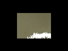 https://image.noelshack.com/fichiers/2012/25/1340278887-a6c6ec41348183244ab36415da09473a.png