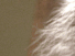 https://image.noelshack.com/fichiers/2012/25/1340278887-c1a4bfd7d1132abab34d9b18b27e6f3f.png