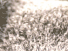 https://image.noelshack.com/fichiers/2012/25/1340278888-00895aaa1b977f366b9b4c4e3338d6fc.png