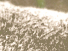 https://image.noelshack.com/fichiers/2012/25/1340278888-dfa3834d70c1c7dca7eceec56938dad6.png