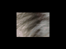 https://image.noelshack.com/fichiers/2012/25/1340278889-bc17c401b89968f0631bea7dfcae93e7.png