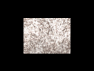 https://image.noelshack.com/fichiers/2012/25/1340278889-c8f0d79a83f8ca55a4185420ada58ee1.png