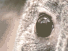 https://image.noelshack.com/fichiers/2012/25/1340278890-53a1474313957ec93f656b3431f16558.png
