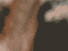 https://image.noelshack.com/fichiers/2012/25/1340278890-de568b3e665ed7f8bcc0ac82c8262363.png