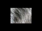 https://image.noelshack.com/fichiers/2012/25/1340278890-ed586c1e0d5d7bc1d2fdd878a6de7b7f.png