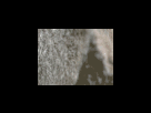 https://image.noelshack.com/fichiers/2012/25/1340278891-84f28d2c2d653ab7e82759e5ca7f1458.png