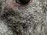 https://image.noelshack.com/fichiers/2012/25/1340278891-99a57ccb7753a3faa66f243ca6358fad.png