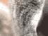 https://image.noelshack.com/fichiers/2012/25/1340278891-e6541cbc72b104ed613cf4485dd10664.png