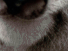 https://image.noelshack.com/fichiers/2012/25/1340278892-00090990cc0ed25c4b64f678e6dde08a.png