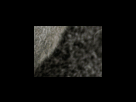 https://image.noelshack.com/fichiers/2012/25/1340278892-75fabf152b36b7a1b7ffc8b11385190b.png