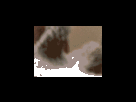 https://image.noelshack.com/fichiers/2012/25/1340278892-7723dc4537dffecc31017b7172a50a34.png