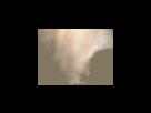 https://image.noelshack.com/fichiers/2012/25/1340278892-9c45ecbf6cd925e04bf09514d3e857b5.png