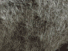 https://image.noelshack.com/fichiers/2012/25/1340278892-b3d2fc748c26760323e5e6c1c6c51a5b.png