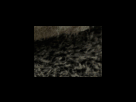 https://image.noelshack.com/fichiers/2012/25/1340278893-28013b6042c1257270b9dbd857f43060.png