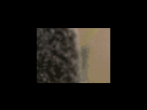 https://image.noelshack.com/fichiers/2012/25/1340278893-51275fe4def6e9f5631f2fcc8389969a.png