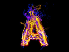 https://image.noelshack.com/fichiers/2012/25/1340278911-9239144-fiery-police-avec-rose-et-bleu-lettre-a.jpg