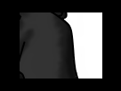 https://image.noelshack.com/fichiers/2012/25/1340279267-Nivportait21_swap_part5x4.png