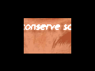 https://image.noelshack.com/fichiers/2012/25/1340279356-688f0acce271425a4901eb8e29da3c82.png