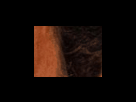 https://image.noelshack.com/fichiers/2012/25/1340279357-11f65432bd485025d6c4cee193b632ac.png