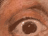 https://image.noelshack.com/fichiers/2012/25/1340279357-cab60b749efebb1db14964511ed8866e.png