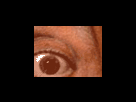 https://image.noelshack.com/fichiers/2012/25/1340279357-ea17d4ac37f714e614b508a1fab78306.png