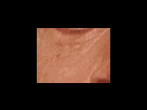 https://image.noelshack.com/fichiers/2012/25/1340279358-5d308e2ce946451a9e36e05a924d521a.png