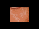 https://image.noelshack.com/fichiers/2012/25/1340279358-a0d0d0998107e3b2ec4c0ed9fd9a04ec.png