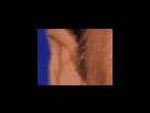https://image.noelshack.com/fichiers/2012/25/1340279358-c735dd523182ca287d541959402a5db2.png