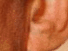 https://image.noelshack.com/fichiers/2012/25/1340279359-98957260cc8fc589689c4382c88f52c3.png
