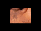 https://image.noelshack.com/fichiers/2012/25/1340279359-d24ba30fdce4118fa73c045beb69fce9.png