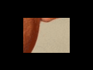 https://image.noelshack.com/fichiers/2012/25/1340279360-8abedbc42fcf51cef4cba36b106777cd.png