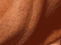 https://image.noelshack.com/fichiers/2012/25/1340279361-3af34c9232610f7530ba9a2be66a25e6.png