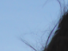 https://image.noelshack.com/fichiers/2012/25/1340280204-5c1e86da4c5ed6039be4e0fc7d052fb1.png