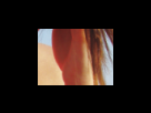 https://image.noelshack.com/fichiers/2012/25/1340280204-5e9be5f4c451c26203bb80e85c83e3ba.png