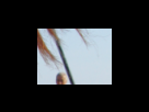 https://image.noelshack.com/fichiers/2012/25/1340280204-feae09982f4453bb5ad668008fefab1f.png
