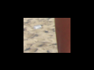 https://image.noelshack.com/fichiers/2012/25/1340280205-fbf41c8977b68510f80a049f4a51b85c.png