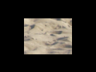 https://image.noelshack.com/fichiers/2012/25/1340280206-1ab444e1936180e7e53c759eaf1dbca4.png