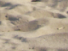https://image.noelshack.com/fichiers/2012/25/1340280206-253044d37af9cc4594a7ef2e3f9d7f7f.png