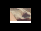 https://image.noelshack.com/fichiers/2012/25/1340280206-2f0c555cabd6040c9f0d2933f9a45d66.png
