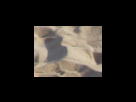 https://image.noelshack.com/fichiers/2012/25/1340280206-37ad02b7542d9ce901fbf54804758d0a.png