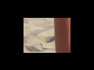 https://image.noelshack.com/fichiers/2012/25/1340280206-d31194f7fb9ce5dc5adfb18194af2e8f.png