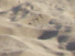 https://image.noelshack.com/fichiers/2012/25/1340280206-f87538fc087748aa9b0dff6e0dc2810a.png