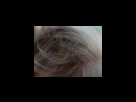 https://image.noelshack.com/fichiers/2012/25/1340280395-c486dbd5d0bec7775d99a0307011d86b.png