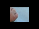 https://image.noelshack.com/fichiers/2012/25/1340280397-aca918438fb8fafb8f632d3dd8676e8d.png
